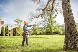 Best Utility Line Clearance  in Springfield, TN